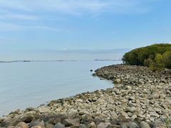 -上海吴淞炮台湾国家湿地公园
