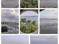 -集美学村