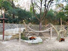 -上海野生动物园