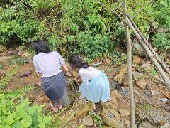 -牛背梁国家森林公园