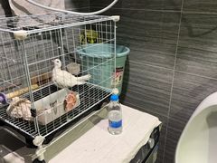 -谜·沉浸侦探剧本杀推理馆(静安店)