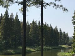 -黄海国家森林公园