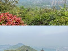 -杭州半山国家森林公园