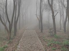 -东山风景区(洞庭东山)