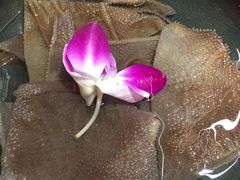 -谭鸭血老火锅(图书馆店)