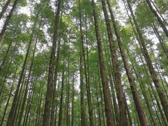 -山王坪喀斯特国家生态公园