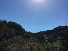 -北京鹫峰国家森林公园