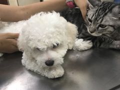 -康乐宝动物医院