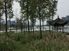 -眉山湿地公园(东坡区)