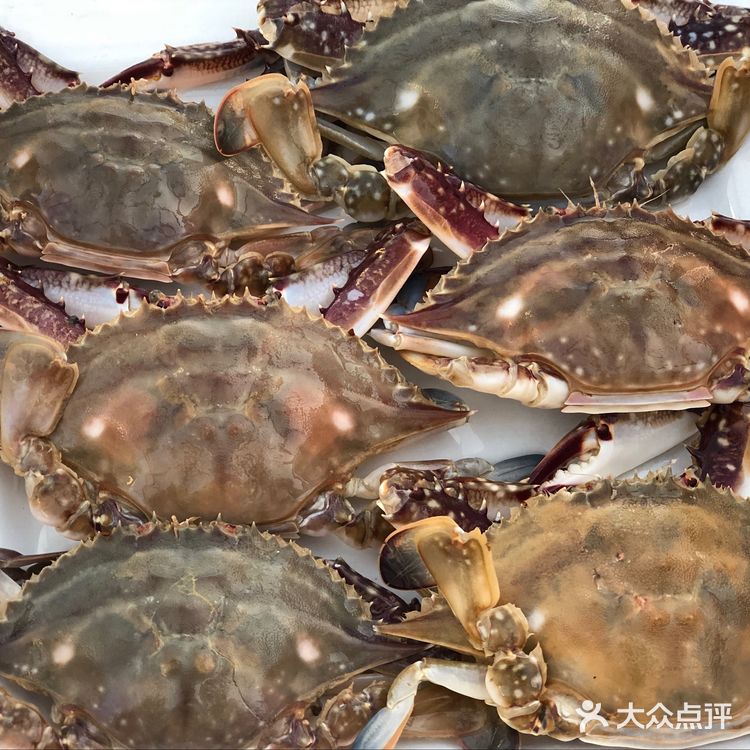 最简单的海鲜吃法之鲜美无比的清蒸螃蟹