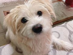 -酷宠动物医院(天通西苑店)