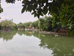 -西苑公园