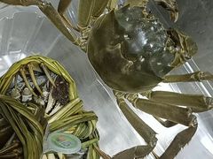 -麦德龙(郑东店)