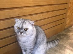 -拾壹cafe·工作室