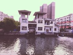 -沈记青团