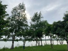-金银湖国家城市湿地公园