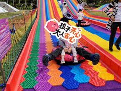 -紫颐香薰山谷景区