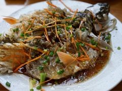 -悠悠美食