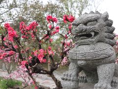 -南汇桃花村
