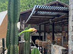 -MOJ coffee(瓯海泽雅水碓坑店)