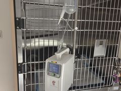 -艾贝尔宠物医院·24H转诊中心·肿瘤猫专科(江宁双龙店)