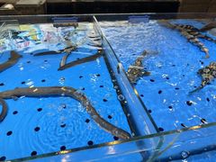 -青岛海悦御华大酒店
