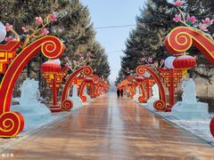 -长春市南湖公园