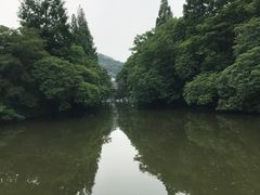 -鲁镇