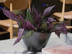 -鱼豆吉·豆浆鱼火锅(宜昌万达店)