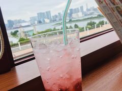 -台场海滨公园船码头