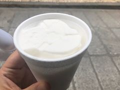 椰子雪糕-洪馨椰子