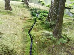 -西芳寺(苔寺)