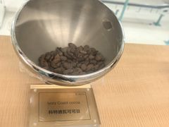 -歌斐颂巧克力小镇