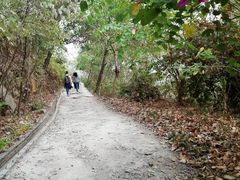 -羚羊峡古栈道森林公园