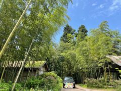 -重庆雨台山风景区
