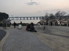 -宝安西湾红树林湿地公园