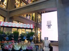 -优衣库(银座店)