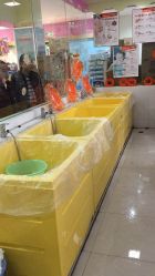 -贝贝熊孕婴童连锁