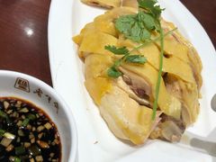 三黄鸡-老半斋(福州路店)