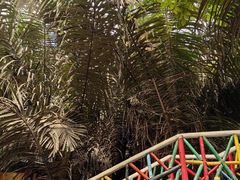 -呀路古热带植物园