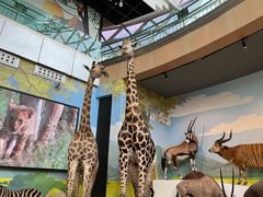 -陕西自然博物馆