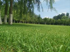 -哈尔滨文化公园