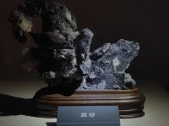 -安徽省地质博物馆