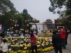 -富乐山