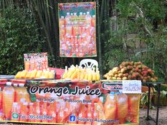 -Bamboo Saturday Market(Nana Jungle)