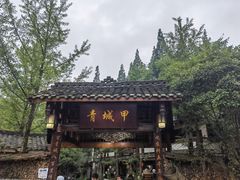 -青城甲(青城山店)