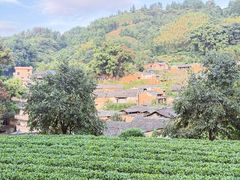 -杨家堂村