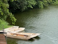 -荔湾湖公园