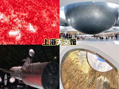 -上海自然博物馆