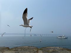 -星海广场